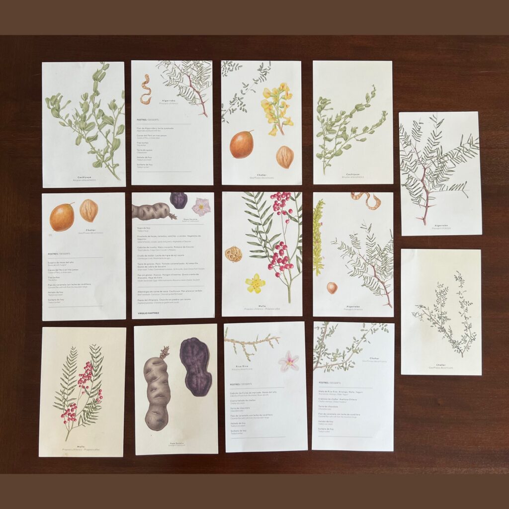 Watercolor menus — botanical watercolor illustrations