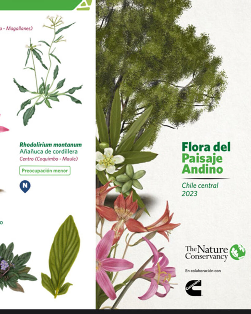 Cover — Andean Landscape Flora Guide — Bioillustrations