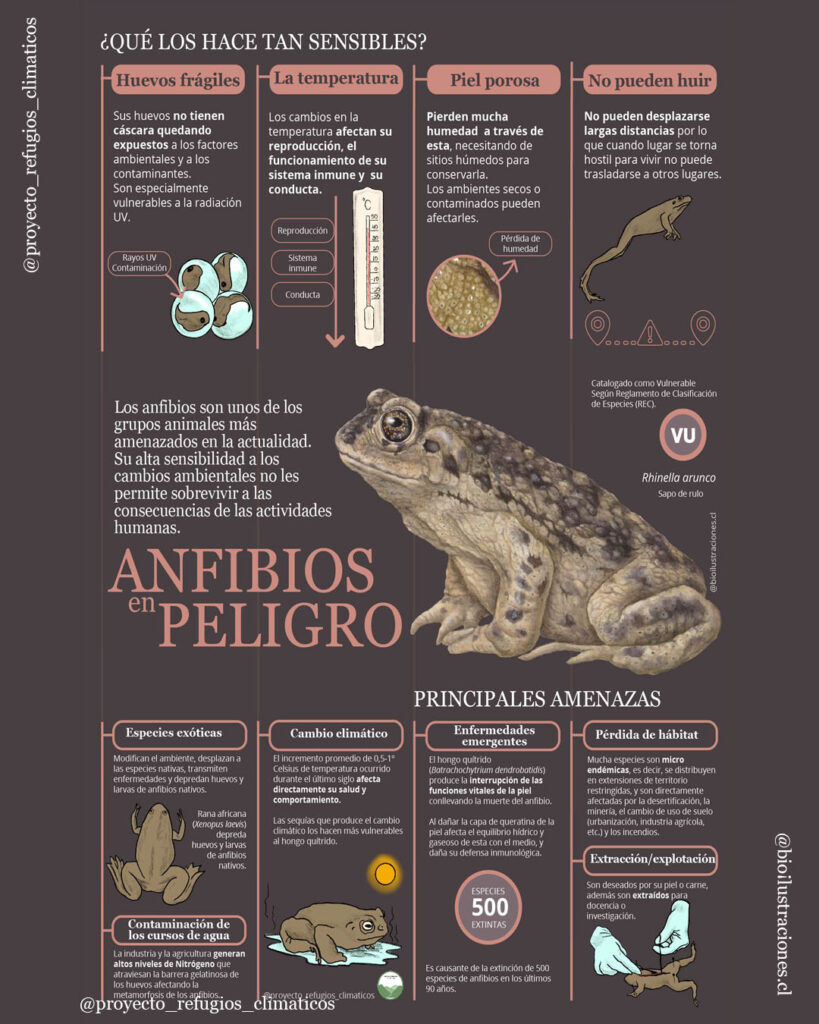 Endangered Amphibians – Infographics.