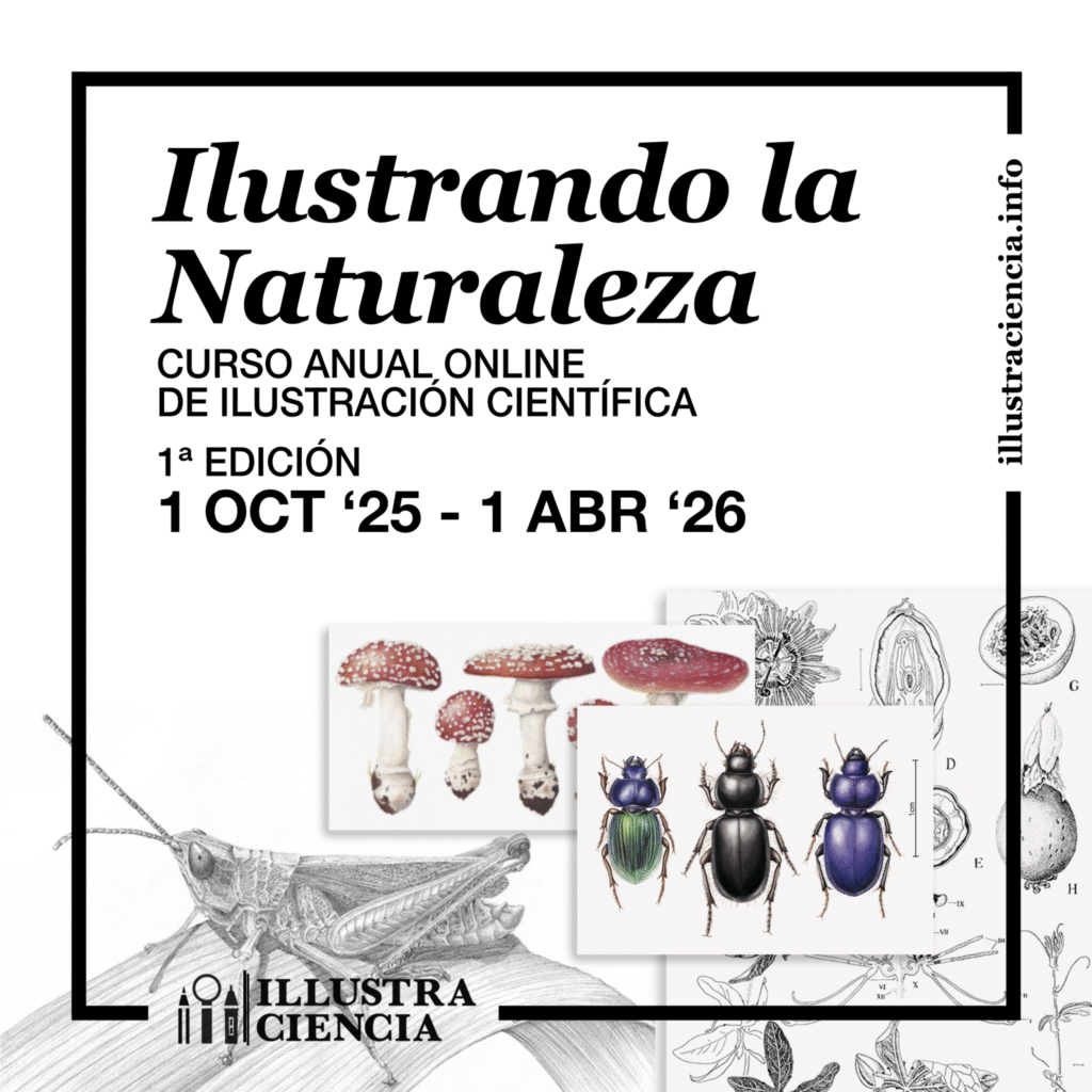 bioillustration course