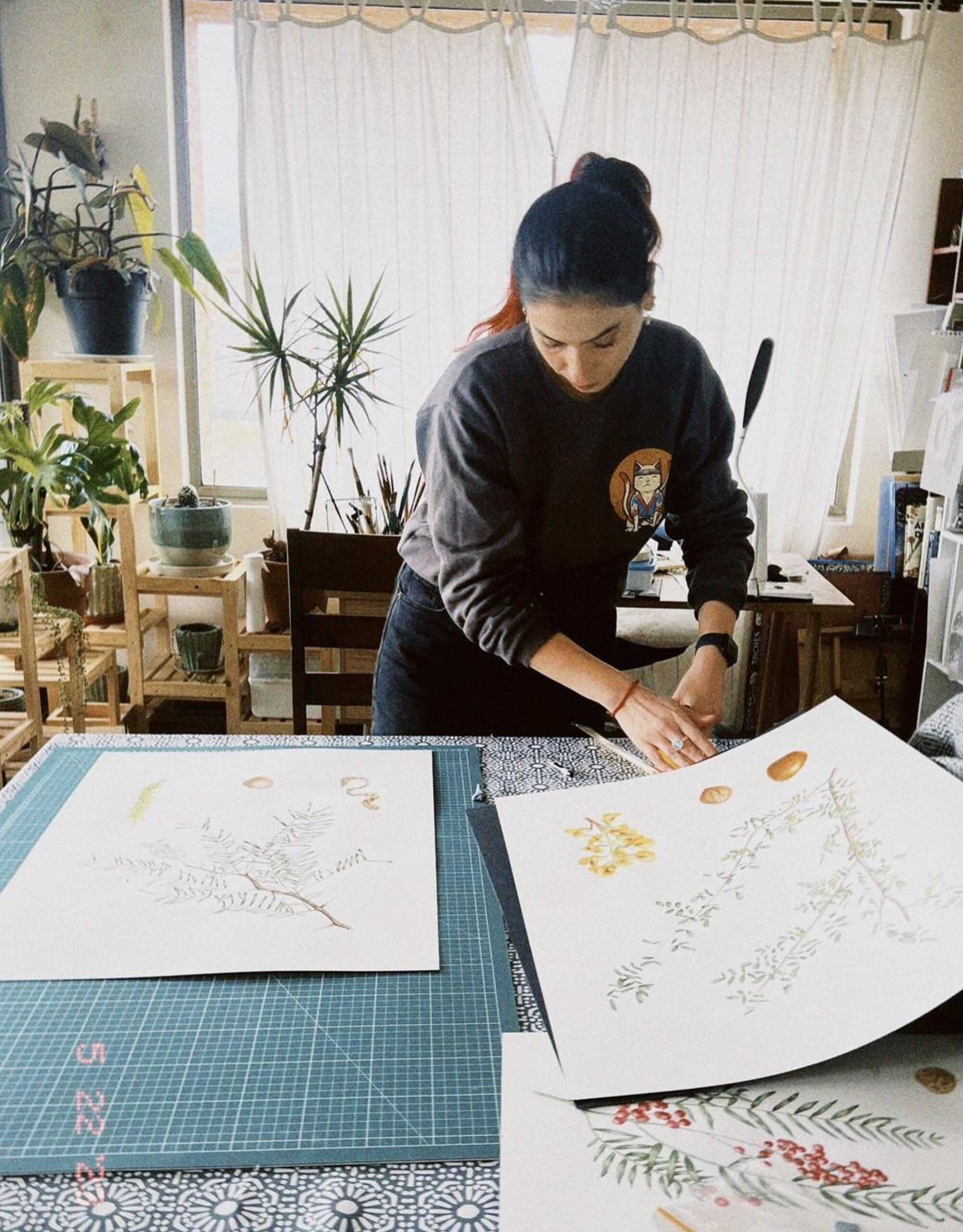 working on illustrations