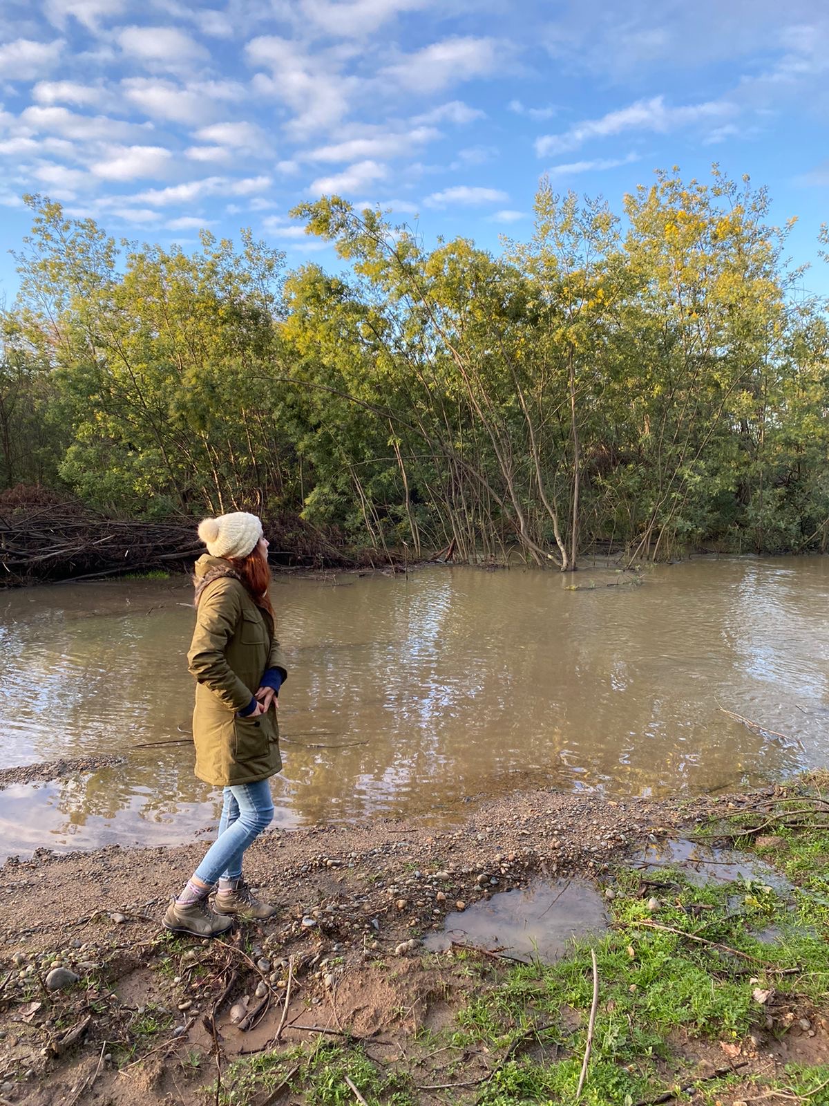 Fieldwork verifying species
