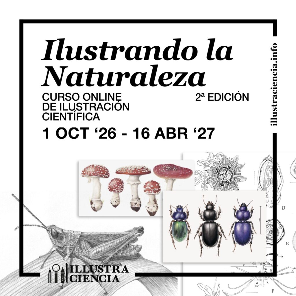 cursos de bioilustración